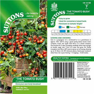 Tomato F1 Lizzano